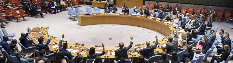 Climate Change and the UN Security Coun… Should the Security Council Engage with Implications of